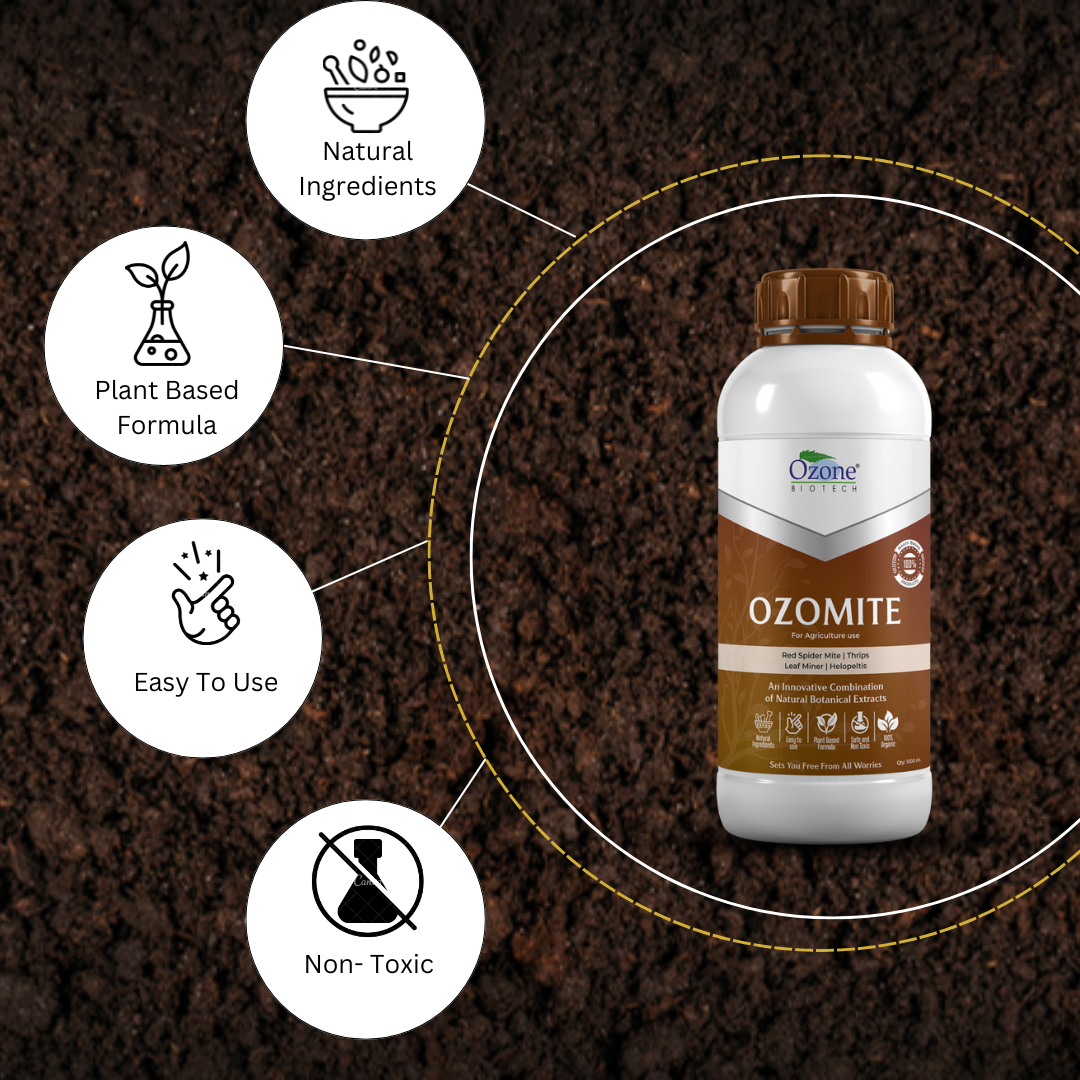 Best organic solution to control mites