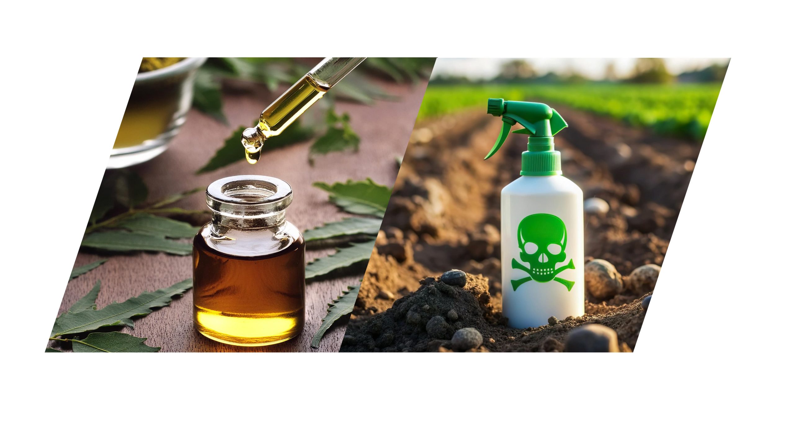 Bio-Pesticides vs. Chemical Pesticides: What’s Best for Your Crops?
