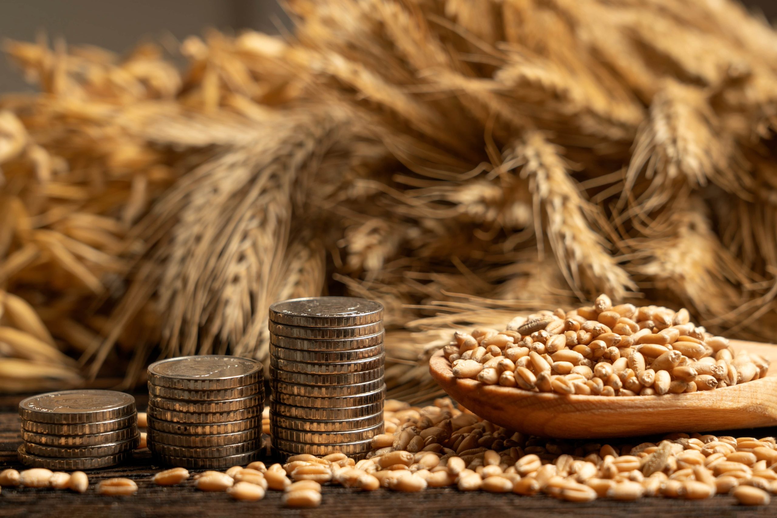 The Role of Neem in Sustainable Export Crops